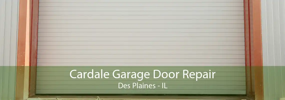 Cardale Garage Door Repair Des Plaines - IL