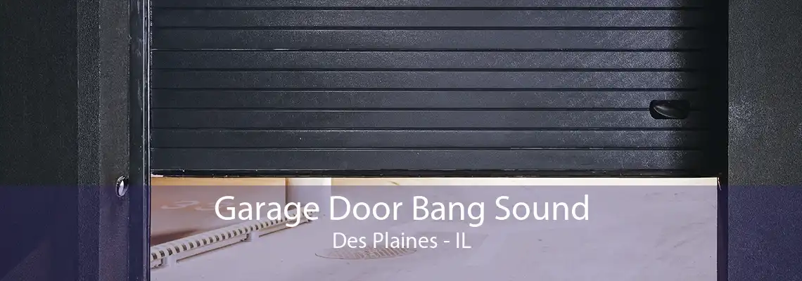 Garage Door Bang Sound Des Plaines - IL