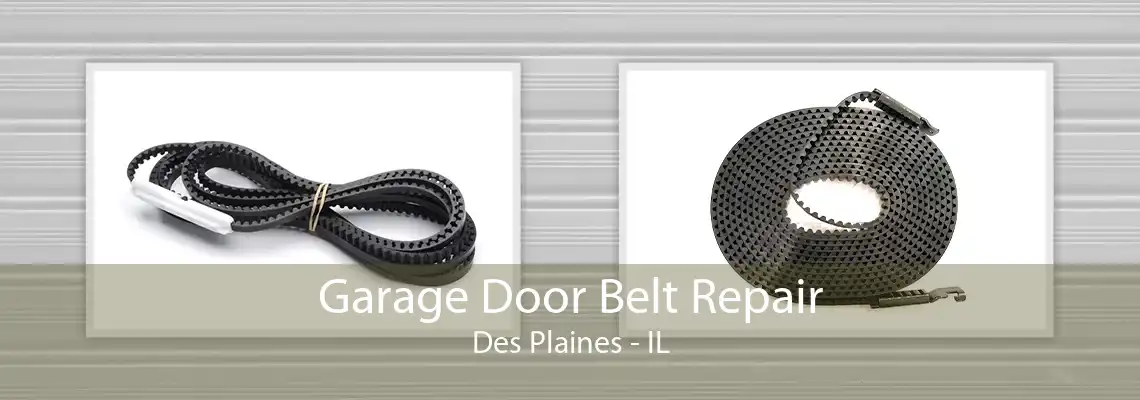 Garage Door Belt Repair Des Plaines - IL