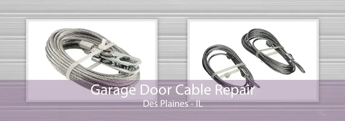 Garage Door Cable Repair Des Plaines - IL