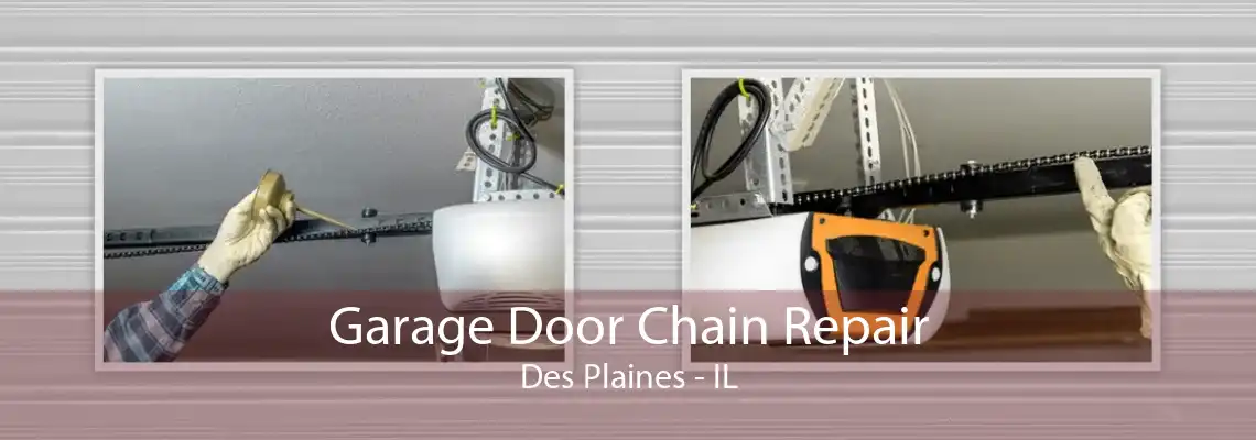 Garage Door Chain Repair Des Plaines - IL