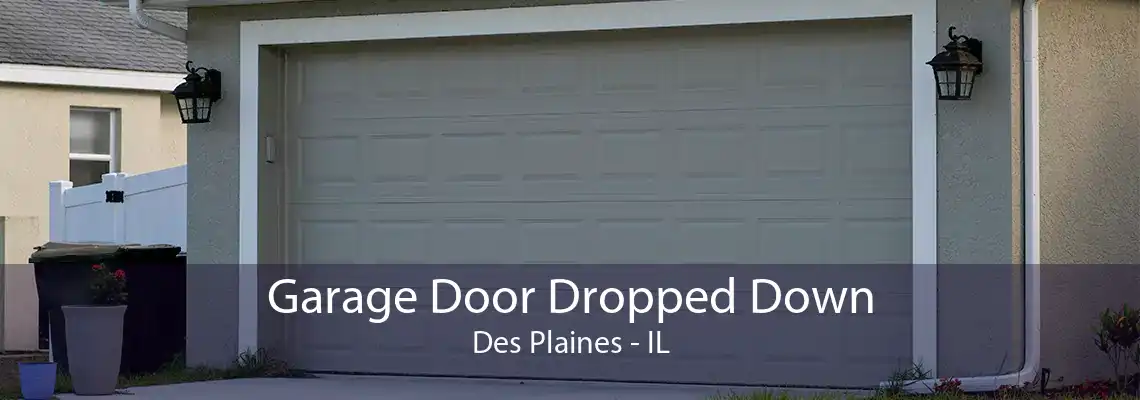 Garage Door Dropped Down Des Plaines - IL