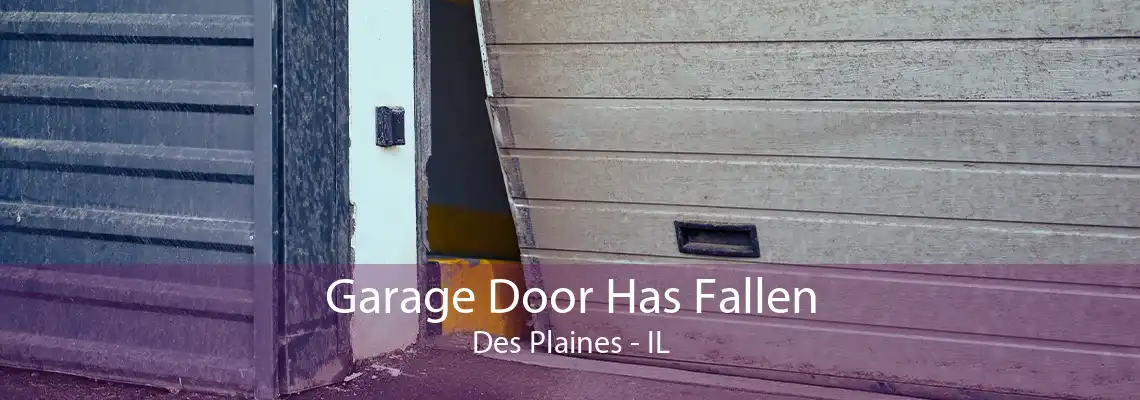 Garage Door Has Fallen Des Plaines - IL