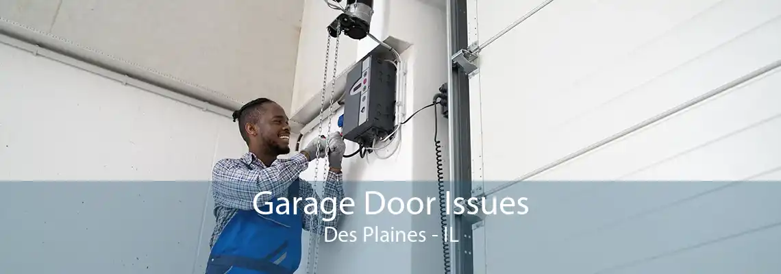 Garage Door Issues Des Plaines - IL