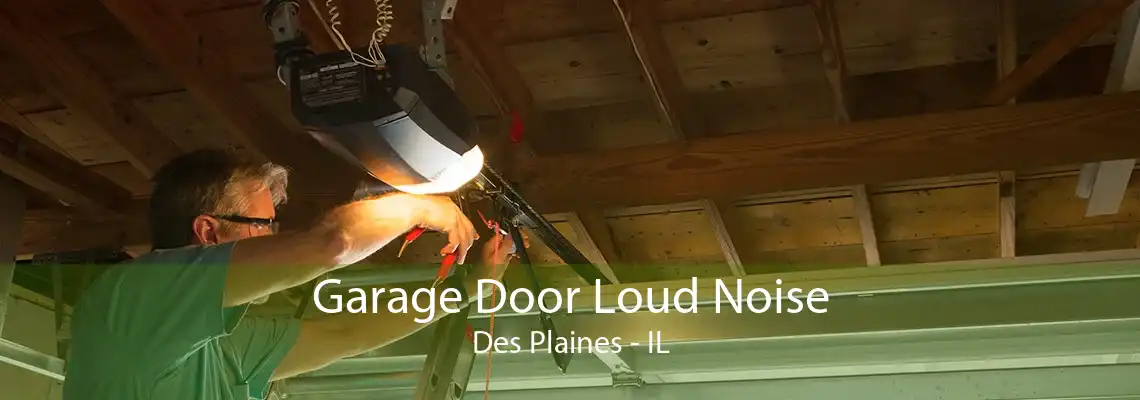 Garage Door Loud Noise Des Plaines - IL