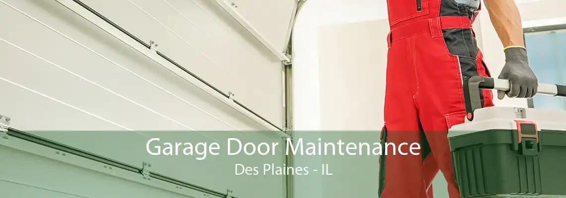 Garage Door Maintenance Des Plaines - IL