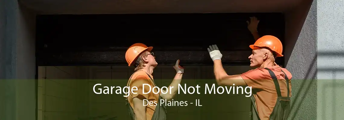 Garage Door Not Moving Des Plaines - IL