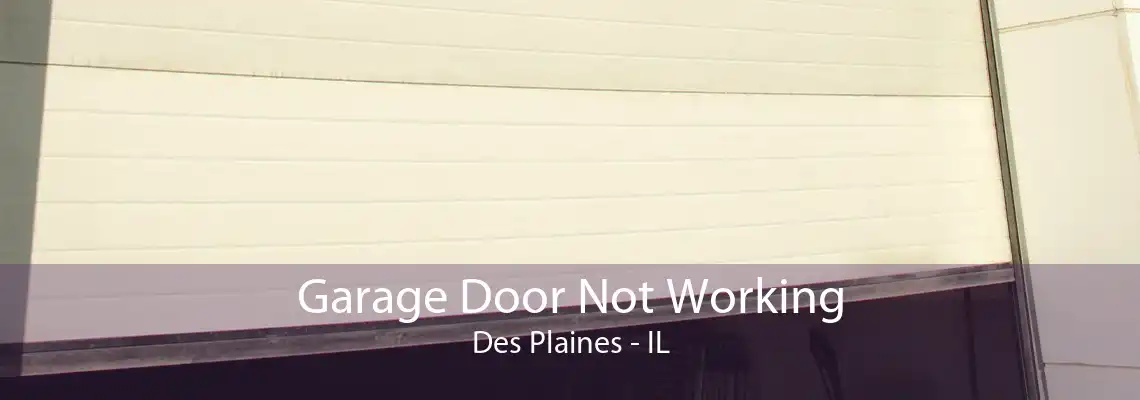 Garage Door Not Working Des Plaines - IL