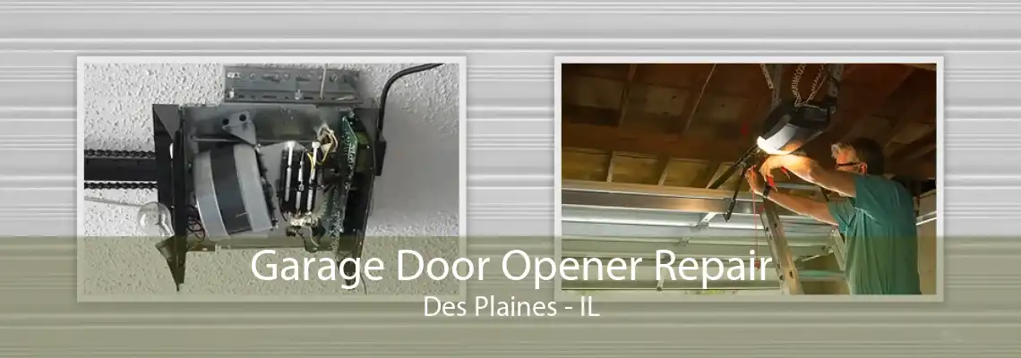 Garage Door Opener Repair Des Plaines - IL