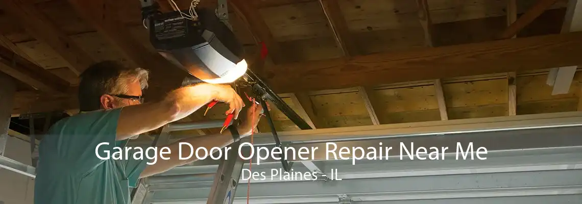 Garage Door Opener Repair Near Me Des Plaines - IL