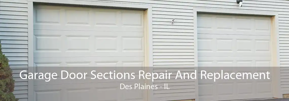 Garage Door Sections Repair And Replacement Des Plaines - IL