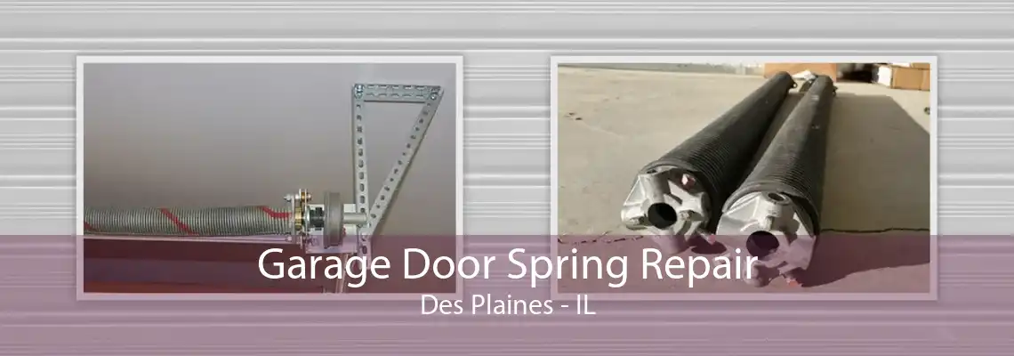 Garage Door Spring Repair Des Plaines - IL