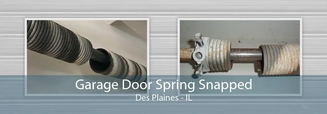 Garage Door Spring Snapped Des Plaines - IL