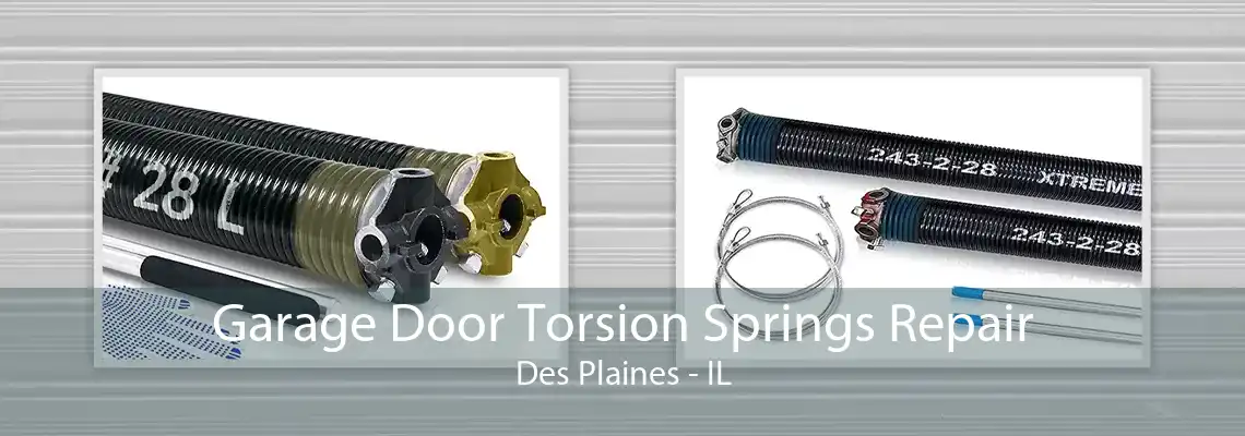 Garage Door Torsion Springs Repair Des Plaines - IL