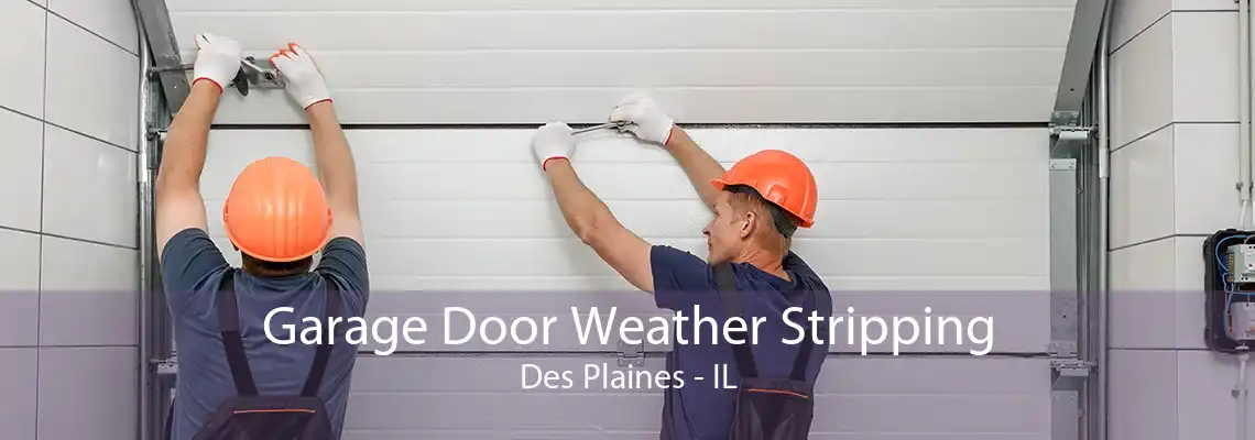 Garage Door Weather Stripping Des Plaines - IL