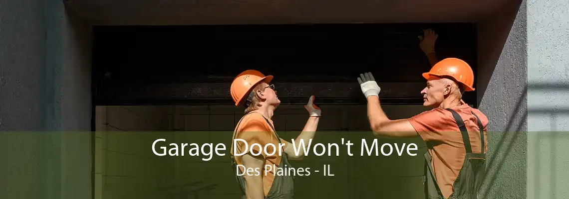 Garage Door Won't Move Des Plaines - IL