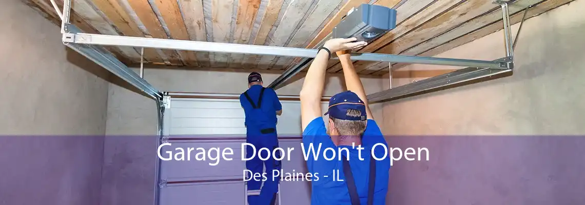 Garage Door Won't Open Des Plaines - IL