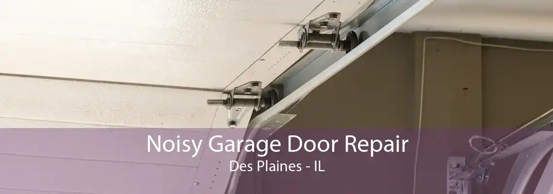 Noisy Garage Door Repair Des Plaines - IL