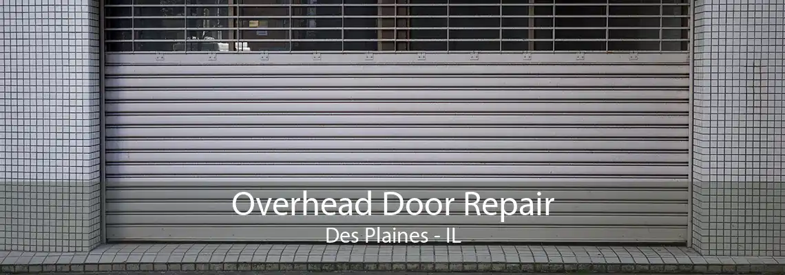 Overhead Door Repair Des Plaines - IL