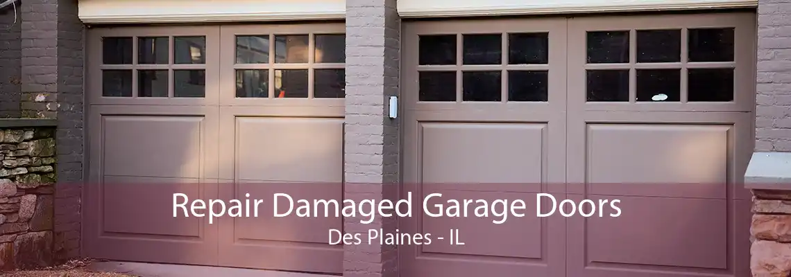 Repair Damaged Garage Doors Des Plaines - IL