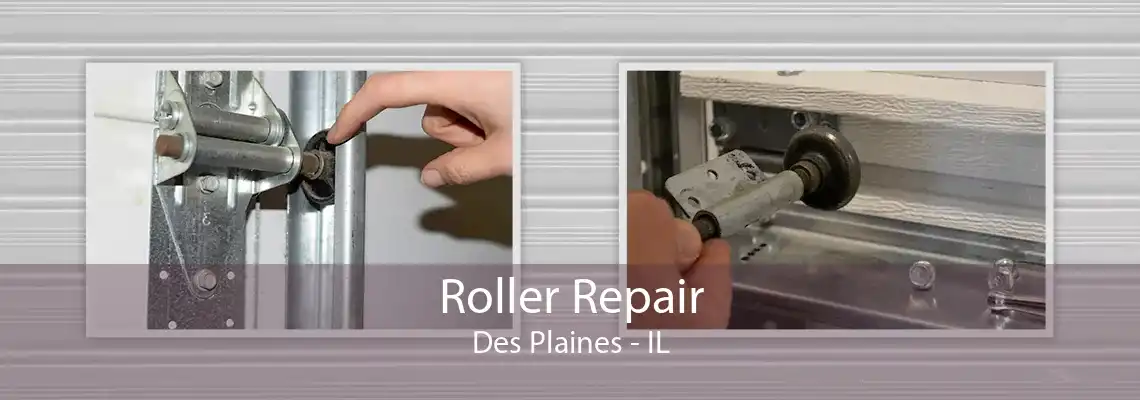 Roller Repair Des Plaines - IL