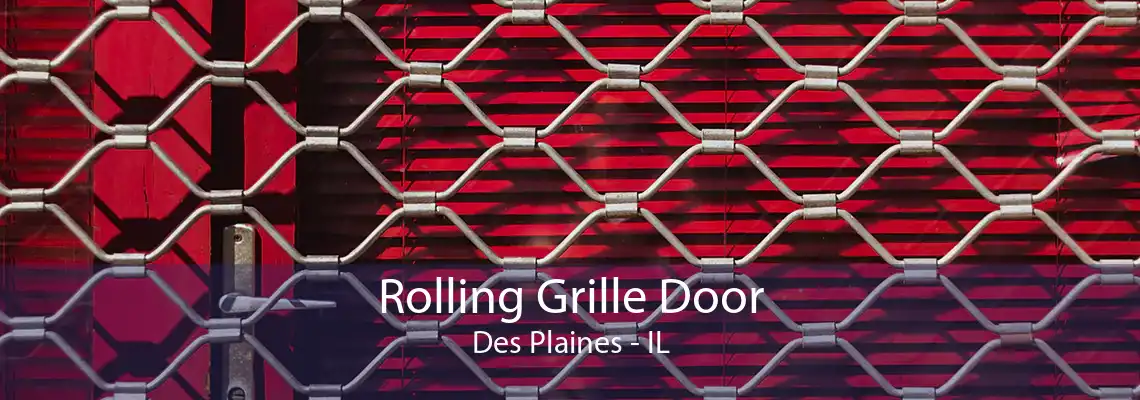 Rolling Grille Door Des Plaines - IL