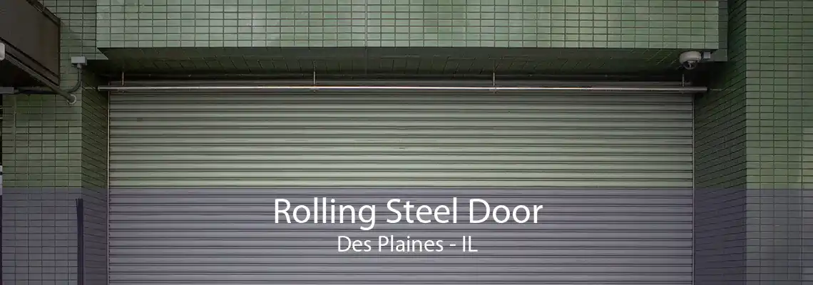 Rolling Steel Door Des Plaines - IL