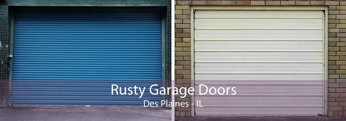 Rusty Garage Doors Des Plaines - IL